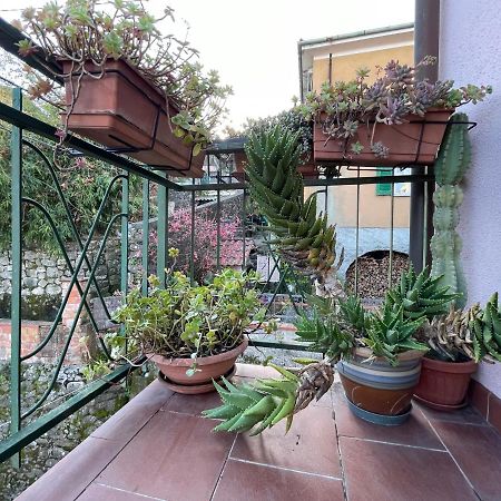 Tra Alpi Apuane e Cinque Terre.. Casetta Renata! Villa Valeriano Lunense Esterno foto