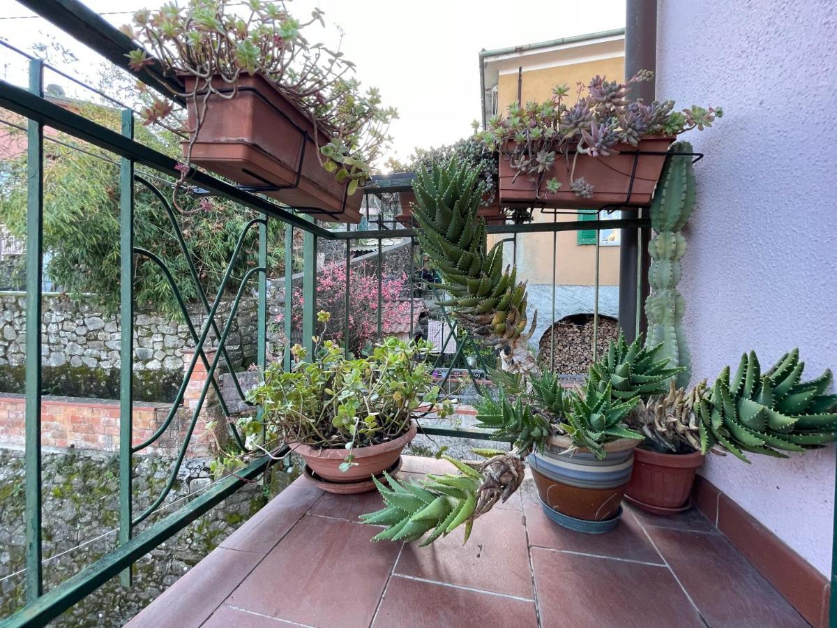 Tra Alpi Apuane e Cinque Terre.. Casetta Renata! Villa Valeriano Lunense Esterno foto